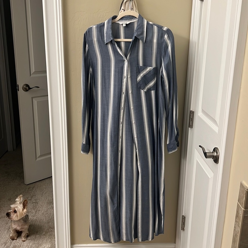 Express button down